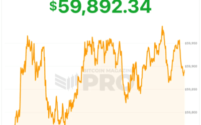 ‘I See Volatility As Opportunity’: Bitcoin Tests Critical Support As Key Level Hangs In The Balance