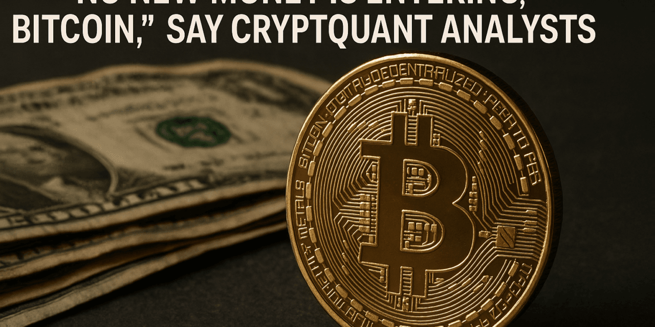 “No New Money Is Entering Bitcoin”, Say Cryptoquant Analysts