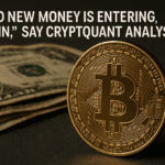 “No New Money Is Entering Bitcoin”, Say Cryptoquant Analysts
