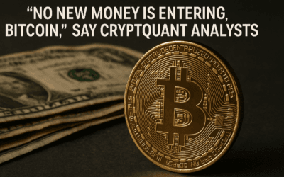 “No New Money Is Entering Bitcoin”, Say Cryptoquant Analysts