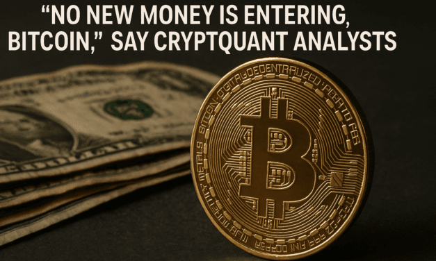 “No New Money Is Entering Bitcoin”, Say Cryptoquant Analysts