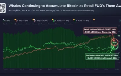 Bitcoin Whales Scoop Up Over $127M in BTC as Retail Sells—Can BTC Price Break Above $67,000?
