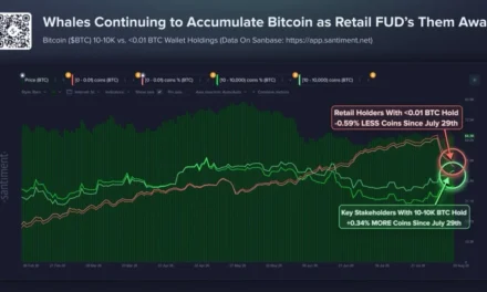 Bitcoin Whales Scoop Up Over $127M in BTC as Retail Sells—Can BTC Price Break Above $67,000?